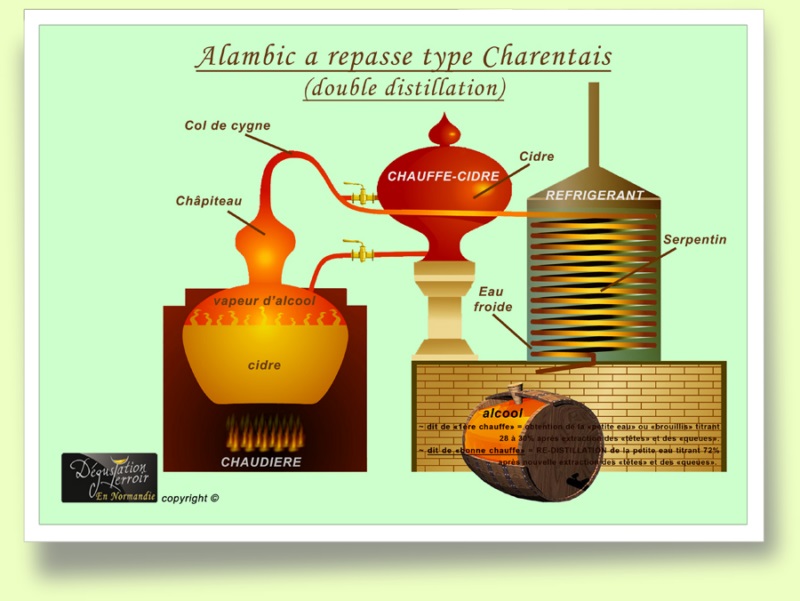 Le Calvados A.O.C de Normandie, présentation, information